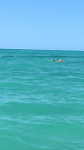 POWC 5 km Paul Kuhnell, Faleolo International Airport swim @swim.tours @samoatourism #oceanswim #samoa #swimseries #2025 #samoaevents | Sāmoa Swim Series