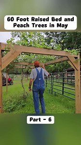 60-Foot Raised Bed and Peach Trees in May