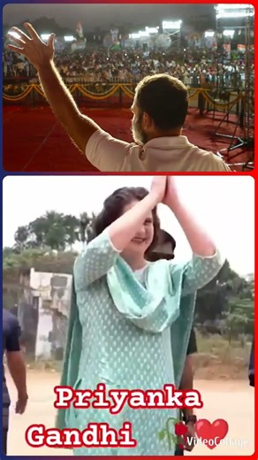 rahul gandhi ka photorahul gandhi sogarahul gandhi speech in parliamentrahul gandhi news