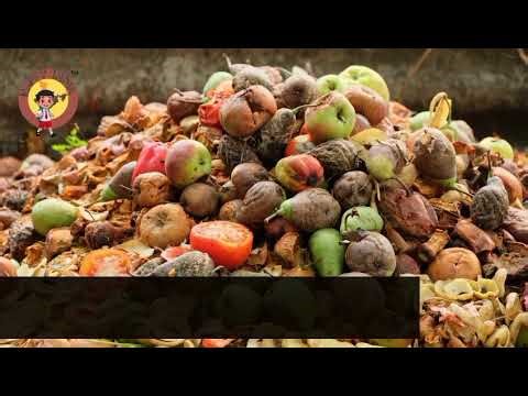 CH 1 Interdependence in Our Environmenr