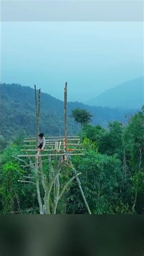 AMAZING little tree house built over 50 feet #survival #outdoors #bushcraft #camping