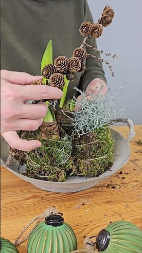 🎄 Festliche Tischdekoration mit Amaryllis: Ein Highlight für dein Weihnachtsfest🎄