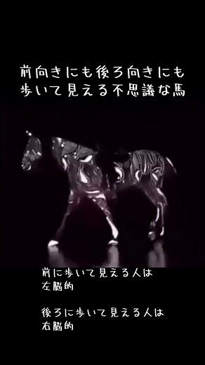 錯覚のアートと脳のタイプ