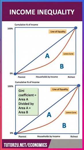 Income Inequality | 60 Second Economics | A Level & IB