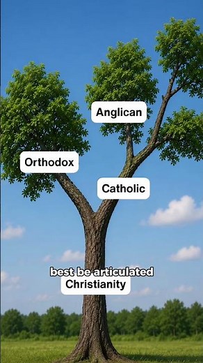 Branch Theory Explained in 60 Seconds