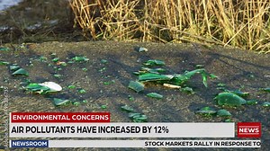 TV News Live Report: Anchor Correspondent Does Reporting Segment on Environment Pollution, Trash, Toxic Waste, Ecology, Interview with Local Citizen. Television Program Cable Channel Playback