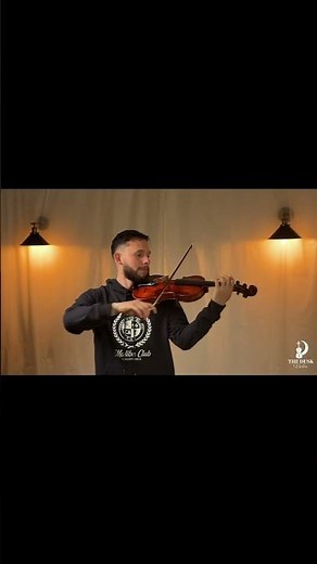 Titanium - DAVID GUETTA - Violin Cover by Dusk violin