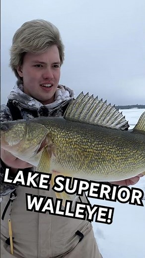 21” WALLEYE ON LAKE SUPERIOR! #walleye #minnesota #icefishing #walleyefishing #outdoors