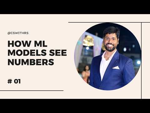 How ML Models See Numbers