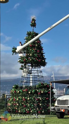 Have you seen Kelowna’s new Christmas trees?