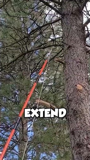 Pole Saw for Tree Trimming