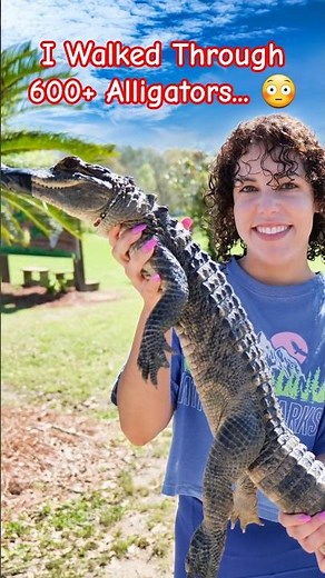 I Walked Through 600+ Alligators… 😳 (Alligator Alley Alabama)