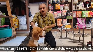 Adjustable Food & Water Stands - https://www.dogomart.com/product-cate... ***IMPORTANT VIDEOS*** How to Potty & Susu (Pee) Training Puppy or Adult Dog at Home | Indoor or Outdoor https://www.youtube.com/watch?v=LLGd6... Hair Fall in Dogs - Solution Guaranteed in 10 Days | Puppies & Dogs Grooming Tips https://www.youtube.com/watch?v=IO4_Y... How to STOP Puppy Biting Using Chew Toys | Stop & Control Dog Biting | Training https://www.youtube.com/watch?v=kcoV8... How much Snacks or Treats are Suitab