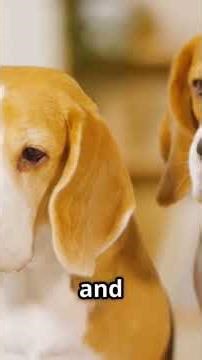 Guard Dogs vs. Security Systems: The Ultimate Test