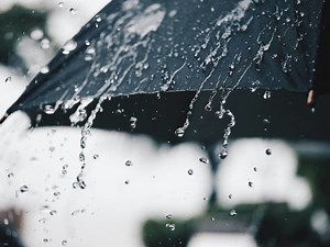 Vienna Forecast: A Short Break From Rain, Then Flood Watch