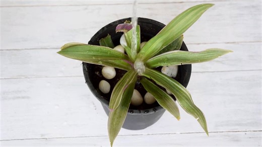 6 Unbelievable Diaper Hacks for Gardeners