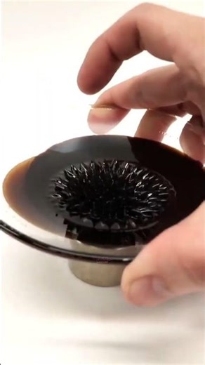 This Happens When Liquid Meets Magnets ⚡