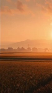 "Golden Evening Waltz" - Official Storytelling video | Slow Country Waltz song