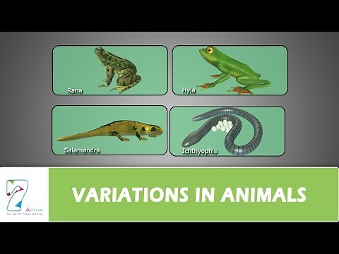 VARIATIONS IN ANIMALS