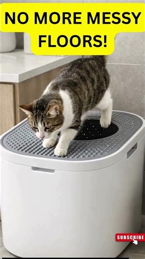 Stop Cat Litter Tracking Forever – No More Messy Floors! #cats #cat #funnycats #catshorts #usa