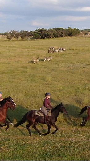 Cantering Through the Zebra with @this_esme in South Africa