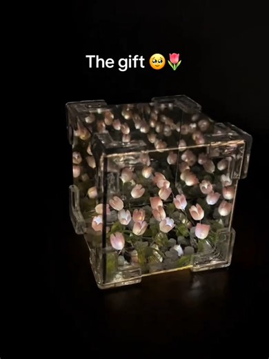 Infinity Tulip Mirror Lamp available now 🥹✨ Limited Stock || For order, visit our Facebook Page Moop Mart 🛍️ #fyp #foryou #foryoupage #viral #tiktok @TikTok