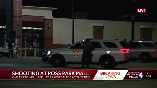 Police responding to Ross Park Mall after reports of shots being fired