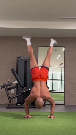 Dynamic Gym Workout Routine for Muscle Building