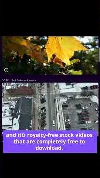 3 free stock footage sites every creator should bookmark!