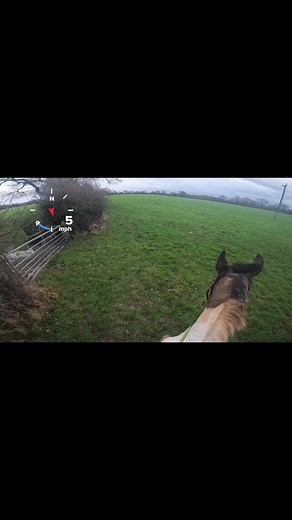 #GALLOP fun! 🏇💨 #GoPro #Riding #Equestrian #Horse 🐴 | The Antics of Mr Mo