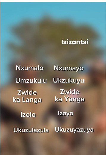 Isilala & isiThefuya: The Forgotten Ndwandwe Languages