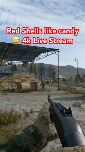 DayZ Live | Next I switched to Green Shells