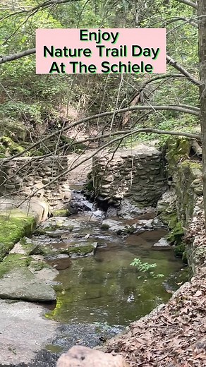 Happy Nature Trail Day! Our free trail is open from sunrise to sunset, and don’t forget to bring your doggie along! 🐶🥾🌲 #naturetrailday #hikingadventures #gastonia #schielemuseum #dogwalking | The Schiele Museum of Natural History