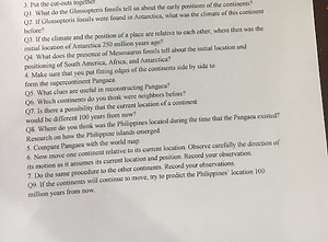 3. Put the cut-outs together.Q1. What do the Glossopteris fos... | Filo
