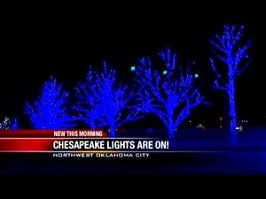 Cheseapeake turns on extensive holiday light display