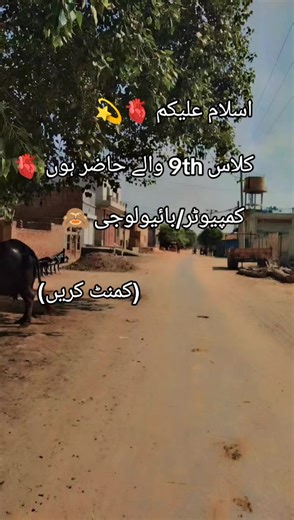 9th Class Students Engaging in Biology and Computer Class