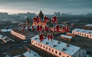 （749局秘密档案）～哈尔滨“日军731部队遗址”事件 # 原创视频 #