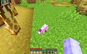 【Aphmau】扮演秘密粉红仓鼠的《我的世界》