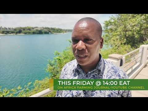 Kenya’s Blue Gold: The Seaweed Revolution