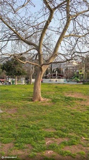 Πάρκο Ζωγράφου: Ένας χώρος για παιχνίδι και χαλάρωση στο Μητροπολιτικό Πάρκο Γουδή