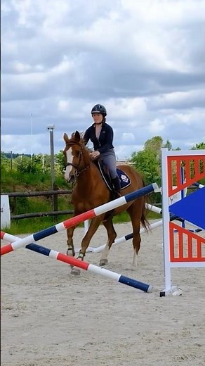 101 exercices de saut d'obstacles #cheval #horse #equitation #jumping
