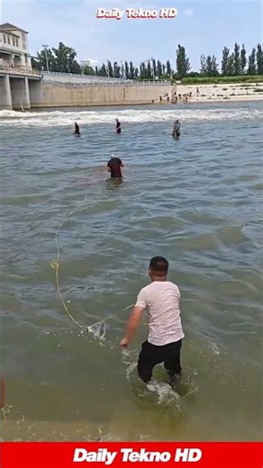 Perfect Cast Net Throw 🎯 #CastNetFishing