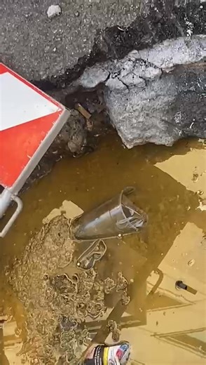 #Cagliari via Caprera. La puzza ve la lasciamo immaginare...... | Cagliari Capitale