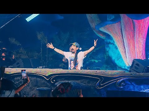 Steve Aoki | Tomorrowland Brasil 2025
