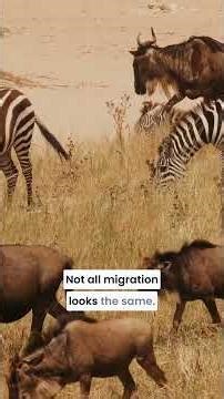 Evolution's Greatest Navigation Hack #animals #survival #nature