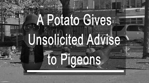 18 reactions · 13 comments | Advise for pigeons | Small Potatoes | Facebook