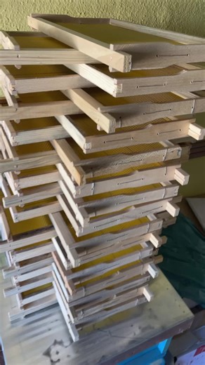 Korniza dhe Bletët: Një Udhetim në Bletari