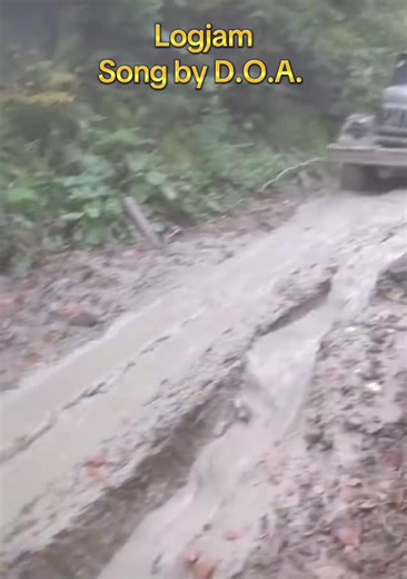 A log jam is a natural or engineered accumulation of large wood (logs, tree trunks, and branches) blocking a river or stream. These blockages can occur when floating logs become entangled or snagged on obstacles like rocks or debris. Here's a more detailed explanation: Formation: Log jams form when trees and large pieces of wood floating in a river or stream become entangled with each other or get snagged on underwater objects like rocks or other debris. Natural vs. Engineered: Log jams can form