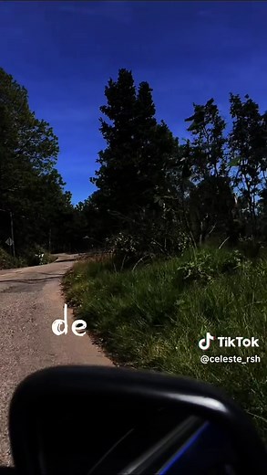 Pero que necesidad/Los caligaris-Inspector 😎 #CapCut #inspector #loscaligaris #peroquenecesidad #rolitaschidas para que tanto problema 😌 #celesedit