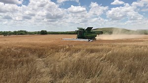 7.5K views · 127 reactions | Stripping wheat in north Texas. | High Plains Harvesting | Facebook